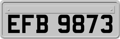 EFB9873