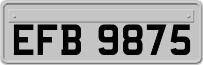 EFB9875