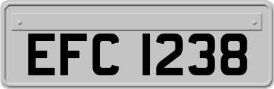 EFC1238
