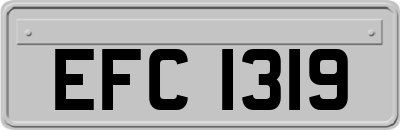 EFC1319