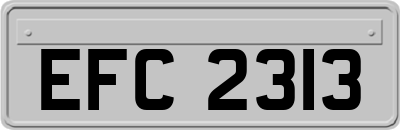 EFC2313