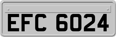 EFC6024