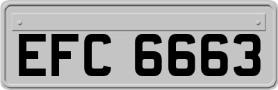 EFC6663