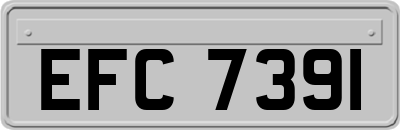 EFC7391
