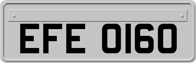 EFE0160