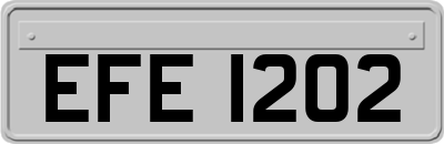 EFE1202
