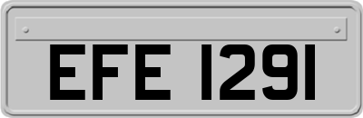 EFE1291