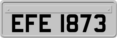 EFE1873