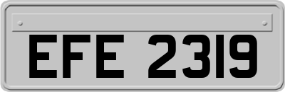 EFE2319