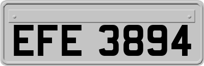EFE3894