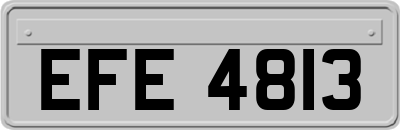 EFE4813