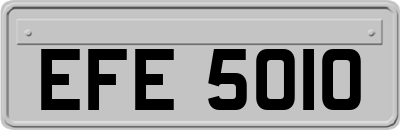 EFE5010