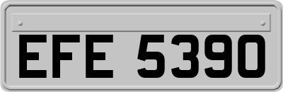 EFE5390