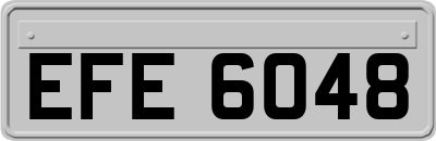 EFE6048