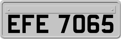 EFE7065