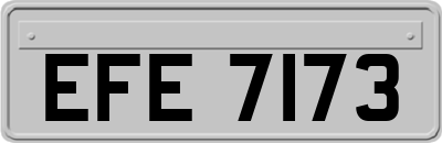 EFE7173