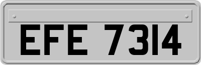 EFE7314
