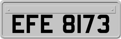 EFE8173