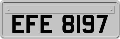 EFE8197