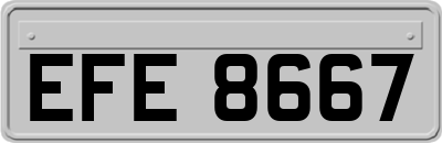 EFE8667