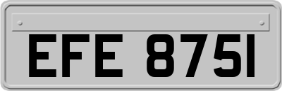 EFE8751