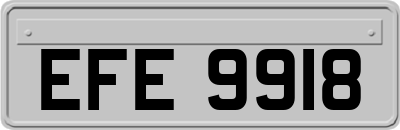 EFE9918