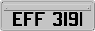 EFF3191