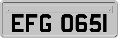 EFG0651