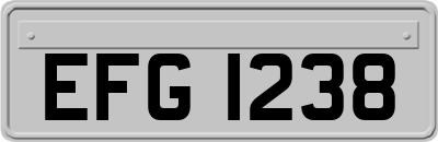 EFG1238
