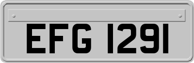 EFG1291