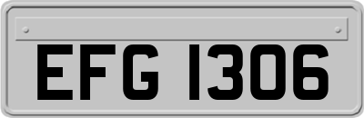 EFG1306