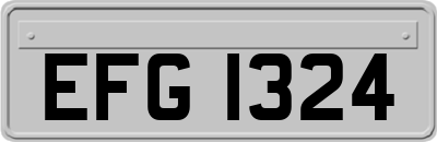 EFG1324