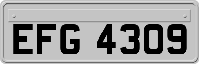 EFG4309