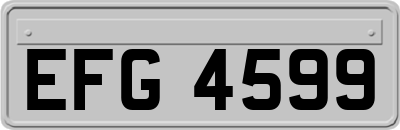 EFG4599