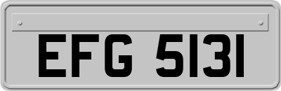 EFG5131