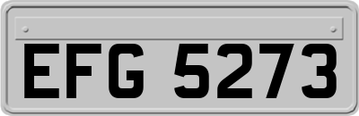 EFG5273