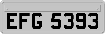 EFG5393
