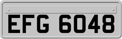 EFG6048