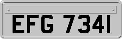 EFG7341