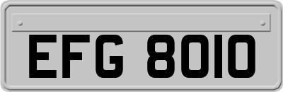 EFG8010