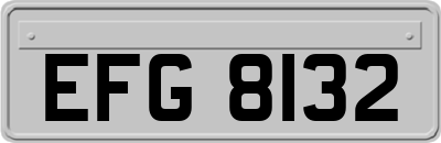 EFG8132