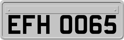 EFH0065