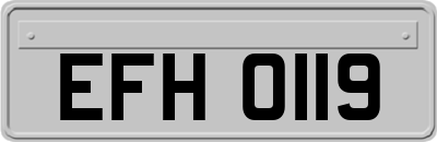 EFH0119