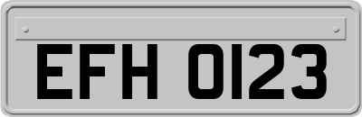 EFH0123