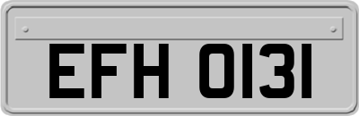 EFH0131
