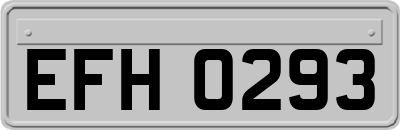 EFH0293