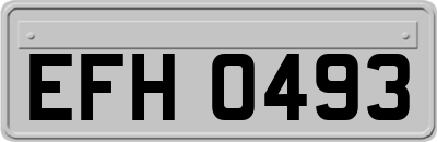 EFH0493