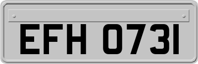 EFH0731