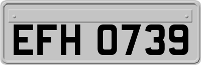 EFH0739