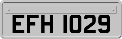 EFH1029